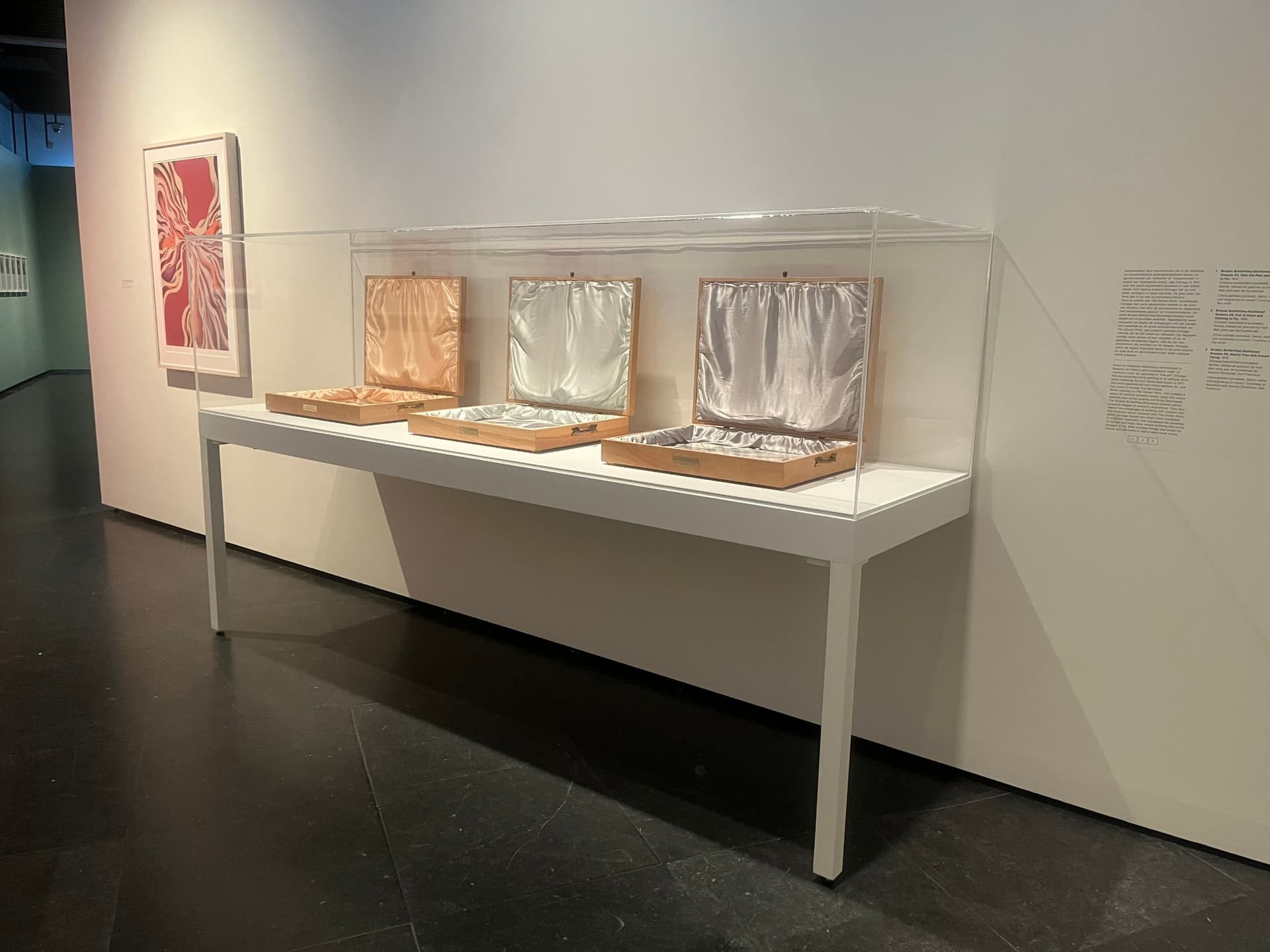 Lange vitrine